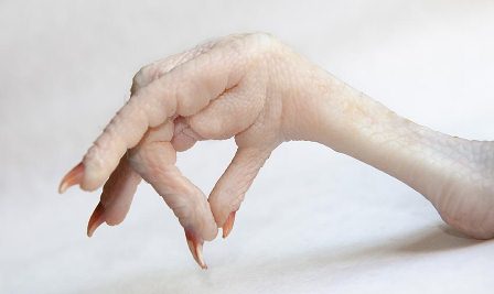 Description: C:UsersReyhaneh.nDesktoptasir-ziba.jpg