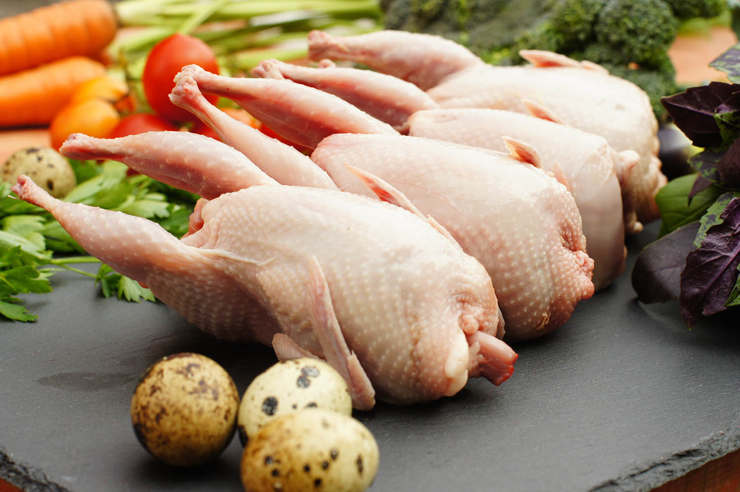 خواص گوشت بلدرچین