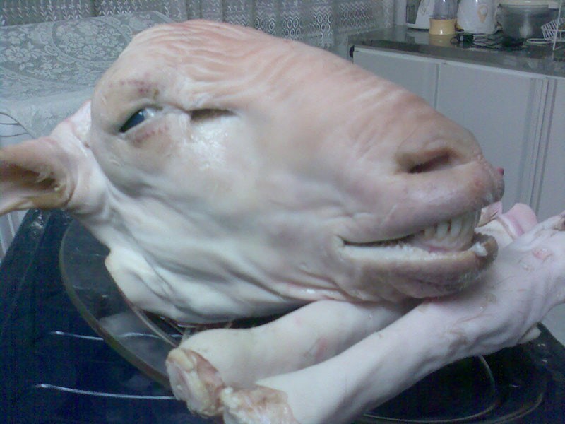 کله پاچه